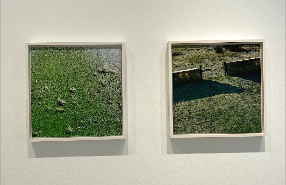 John Pawson, Spectrum Diptych — Carrie Scott